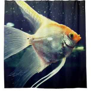 Rideaux De Douche Poisson Angel