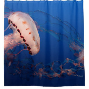 RIDEAUX DE DOUCHE POISSON BLANC ET ORANGE