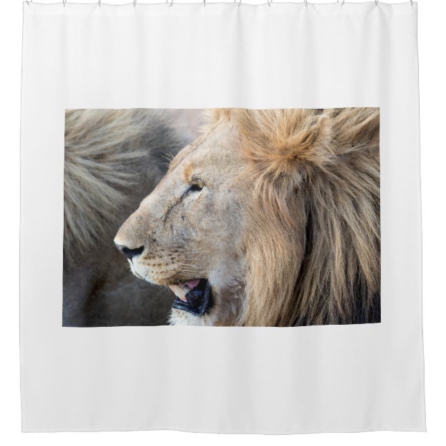 Rideaux De Douche Portrait de Lion (Devant)