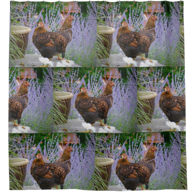 Rideaux De Douche Poulets à double problème (Devant)