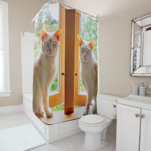 rideaux de douche pour chats Kate et Bobby chats B