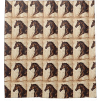 Profil du cheval sauvage Brown