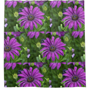 Rideaux De Douche Purple Daisy