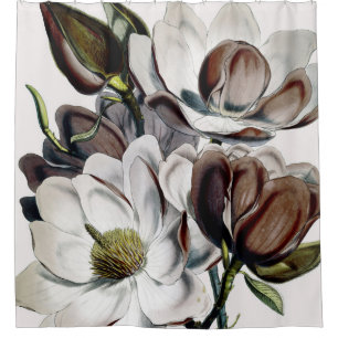 Rideaux De Douche Rêve de chocolat de magnolia