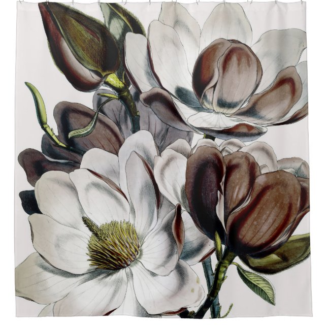 Rideaux De Douche Rêve de chocolat de magnolia (Devant)