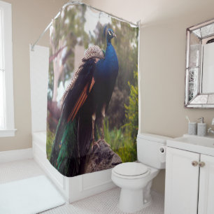 Rideaux De Douche Rock Peacock