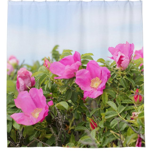 Rideaux De Douche Roses de prune de plage (Devant)