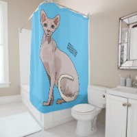 Sphynx cat