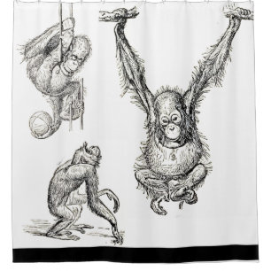 Rideaux De Douche Stylo/encre Art Zoo Orangutan Enfants Douche ridea