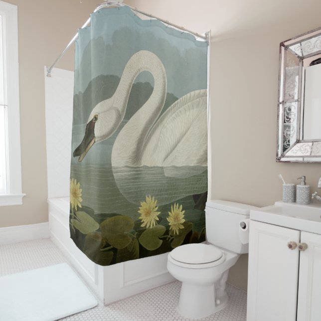 Rideaux De Douche Swan commun américain - Les oiseaux d'Amérique d'A (En situation)