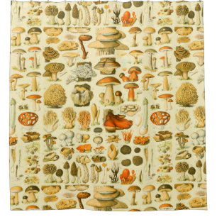 Rideaux De Douche Tabouret de toilette Vintage de champignons Illust