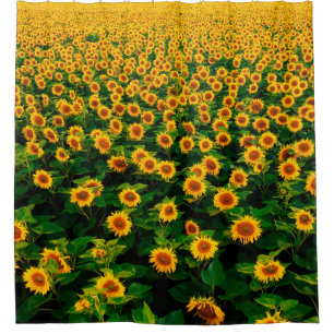 Rideaux De Douche Terrain avec des tournesols jaune vif par jour ens