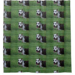 Rideaux De Douche terrier pit bull américain souriant