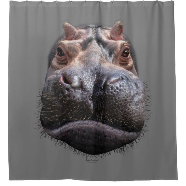 Rideaux De Douche Tête d'hippopotame (Devant)
