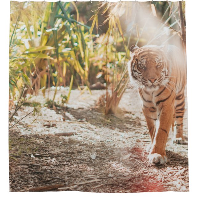 RIDEAUX DE DOUCHE TIGER BROWN DANS LE GESTE DE MARCHE (Devant)