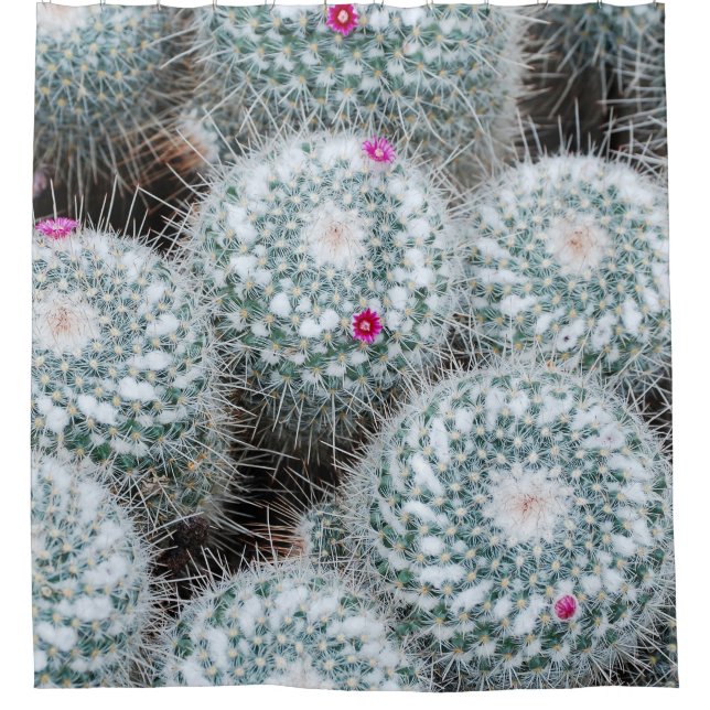 Rideaux De Douche Tiny rose Fleurs Plantes Cactus (Devant)