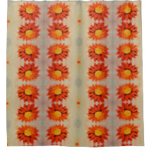 Tournesol orange vif