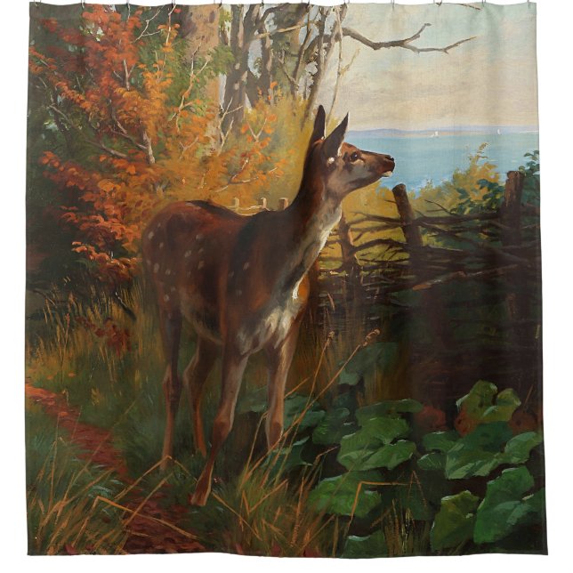 Rideaux De Douche Un Joli Cerf En Forêt (Devant)