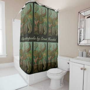 Rideaux De Douche Vers Annélides Chaetopoda par Ernst Haeckel