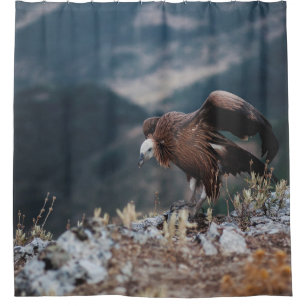 RIDEAUX DE DOUCHE VULTURE