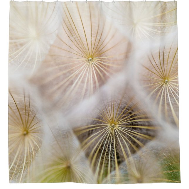 Rideaux De Douche White dandelion flowers (Devant)