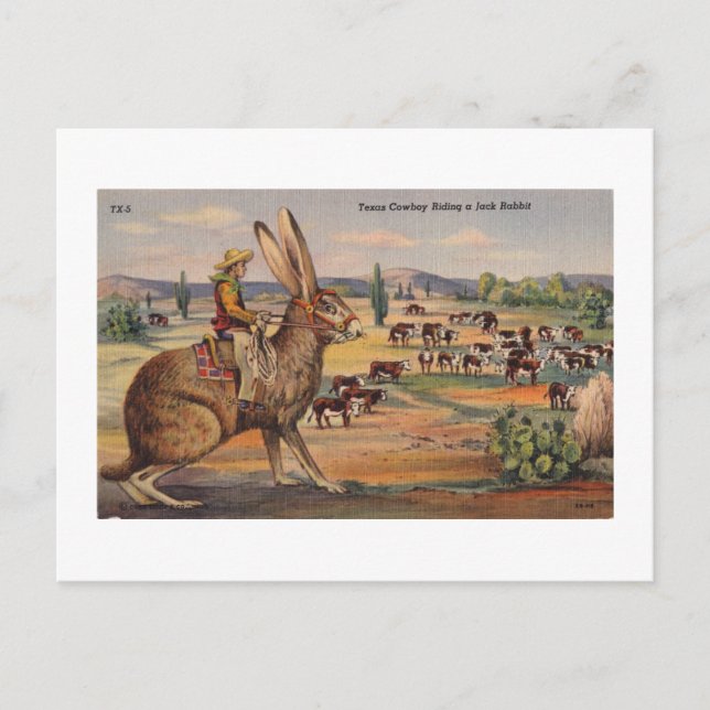 Ride'm Bunny! Postkarte (Vorderseite)