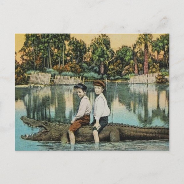 Ride'um Gator Funny Postcard Postkarte (Vorderseite)
