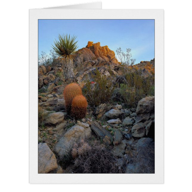 "Ridge Route Colors" (Vorderseite)