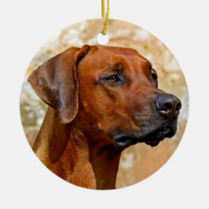 Ridgeback Keramik Ornament