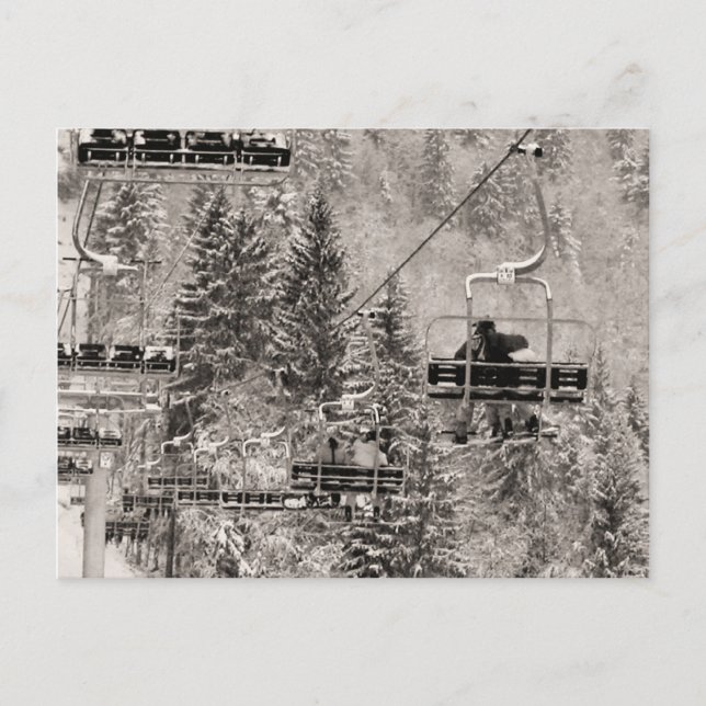Riding above the trees postkarte (Vorderseite)