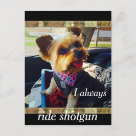 Riding Shotgun Yorkie Personalize Postkarte