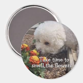 Rieche die Blumen Magnet