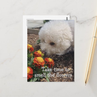 Rieche die Blumen Postkarte