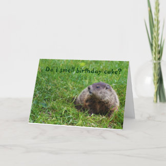Rieche ich Geburtstagskuchen? Karte