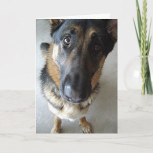 Rieche ich Kuchen?  Geburtstagwünsche... Karte