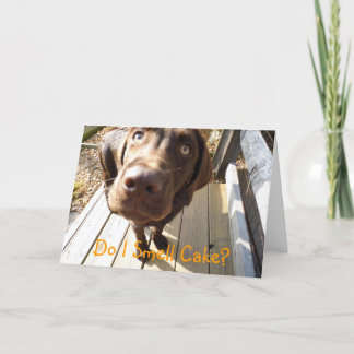 Rieche ich Kuchen? Schokolade Labrador Grußkarte Karte