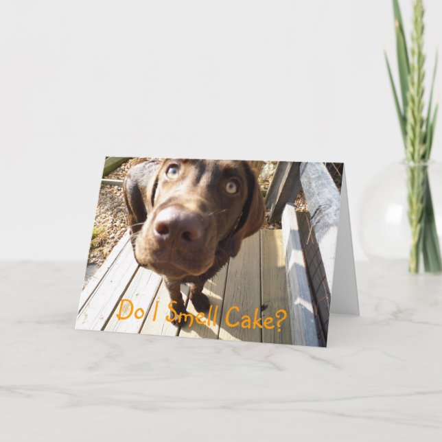 Rieche ich Kuchen? Schokolade Labrador Grußkarte Karte (Vorderseite)