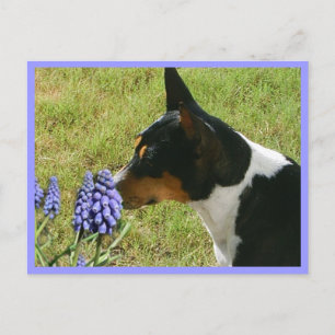 Riechen Sie die Blume Postkarte