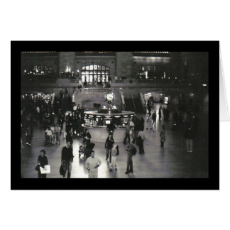 Riechen Sie die Rosen