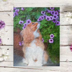 Riechende Petunien Cavalier King Charles Spaniel