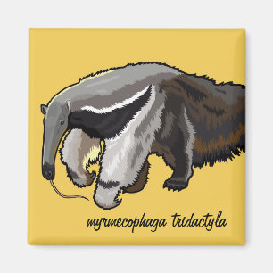 Riese Magnet