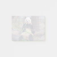 Riese Panda Tian Tian im Nationalpark