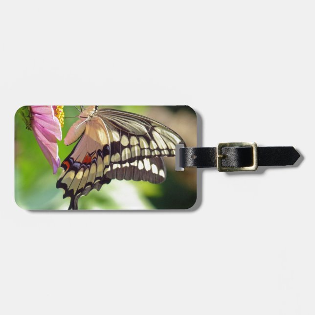 Riesen-Frack-Butterfly Gepäckanhänger (Vorderseite horizontal)