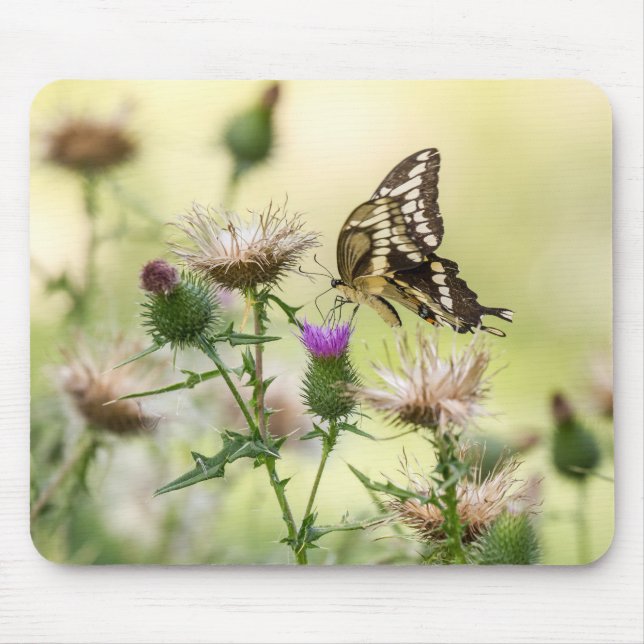 Riesen-Frack-Butterfly Mousepad (Vorne)