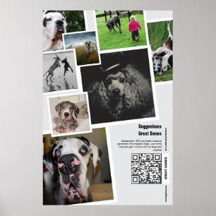 Riesen-Great-Dane-Zuchtstätte-Promotion-Plakat Poster