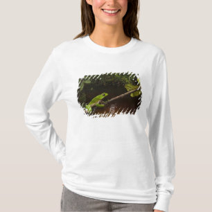 Riesen-Laubfrosch Phyllomedusa bicolor) 2 T-Shirt
