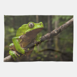 Riesen-Laubfrosch Phyllomedusa bicolor) Handtuch