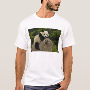 Riesen-Panda-Baby T-Shirt