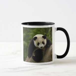 Riesen-Panda-Baby Tasse