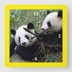 Riesen-Panda-Bären-Spiel und Bambusessen (lustig) Quadratische Wanduhr